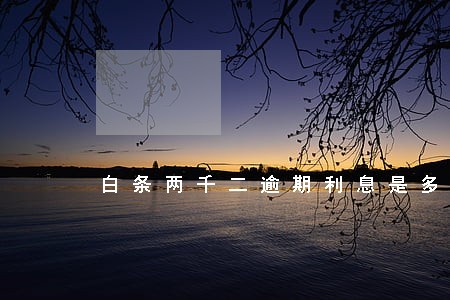 白条两千二逾期利息是多少 白条两千二逾期利息是多少