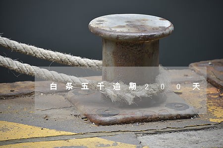 白条五千逾期200天 白条五千逾期200天