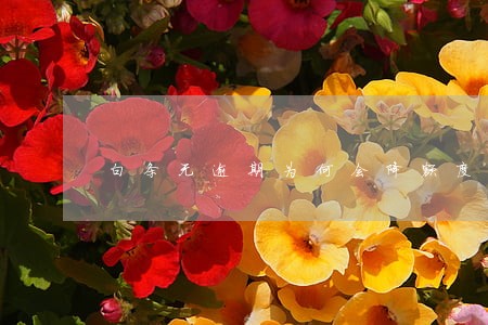 白条无逾期为何会降额度 白条无逾期为何会降额度