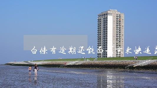 白条有逾期还能面试京东快递员吗 白条有逾期还能面试京东快递员吗