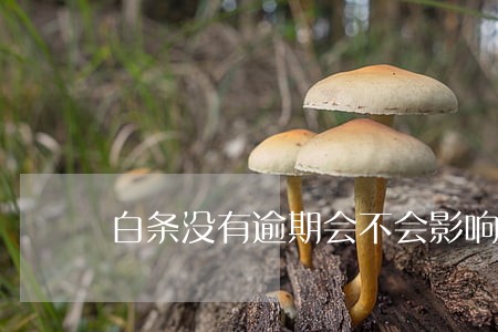 白条没有逾期会不会影响征信