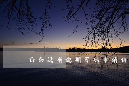 白条没有逾期可以申请信用卡吗 白条没有逾期可以申请信用卡吗