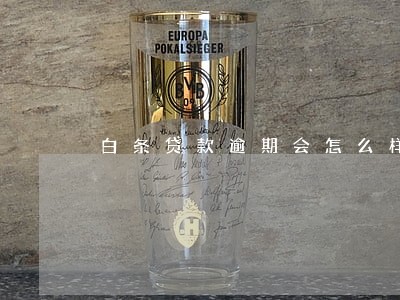白条贷款逾期会怎么样 白条贷款逾期会怎么样