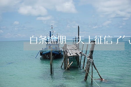 白条逾期一天上征信了气死我了 白条逾期一天上征信了气死我了