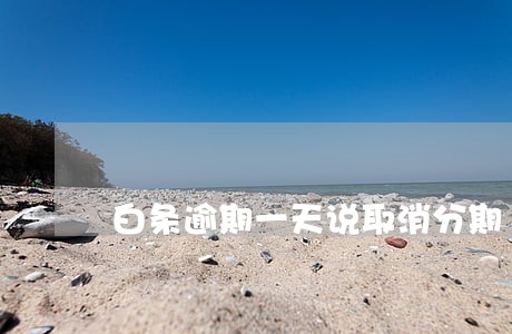 白条逾期一天说取消分期 白条逾期一天说取消分期