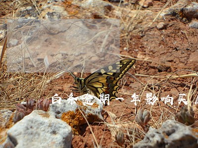 白条逾期一年影响买房贷款吗 白条逾期一年影响买房贷款吗