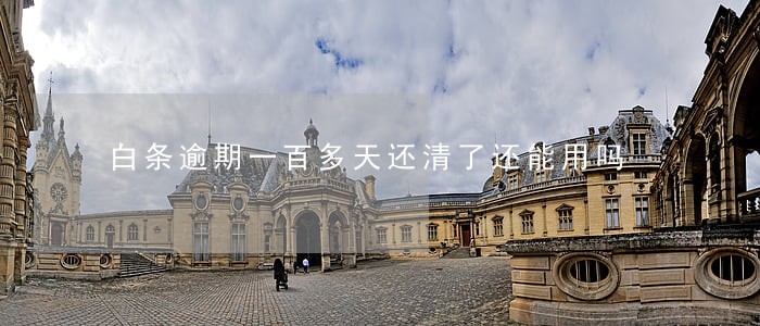 白条逾期一百多天还清了还能用吗 白条逾期一百多天还清了还能用吗