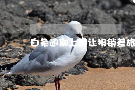 白条逾期上门让报销差旅费用 白条逾期上门让报销差旅费用