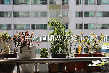白条逾期两天会不会上征信 白条逾期两天会不会上征信