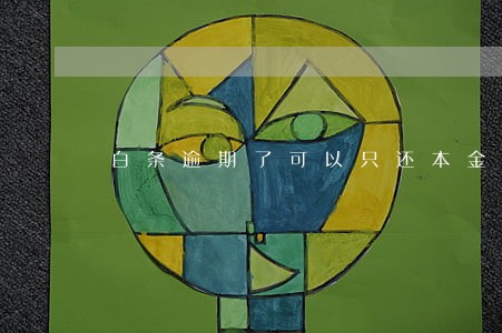 白条逾期了可以只还本金不 白条逾期了可以只还本金不