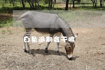 白条逾期会干嘛 白条逾期会干嘛