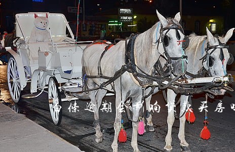白条逾期会影响贷款买房吗 白条逾期会影响贷款买房吗