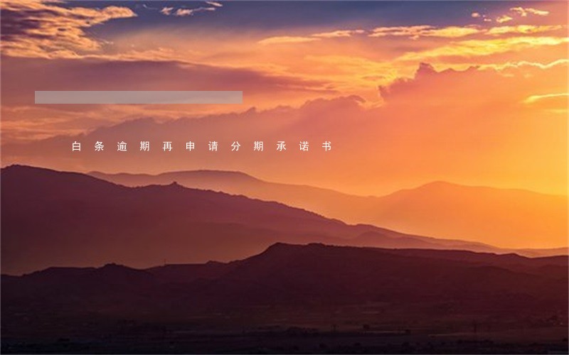 白条逾期再申请分期承诺书 白条逾期再申请分期承诺书