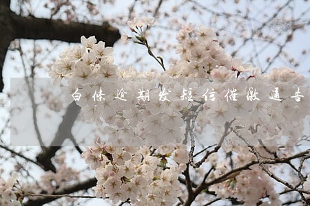 白条逾期发短信催缴通告 白条逾期发短信催缴通告