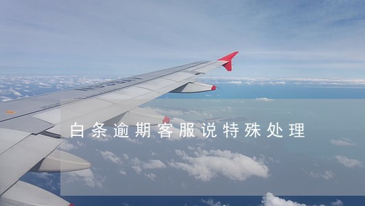 白条逾期客服说特殊处理