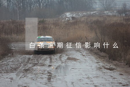 白条逾期征信影响什么 白条逾期征信影响什么