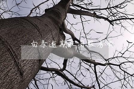 白条逾期收日服务费 白条逾期收日服务费