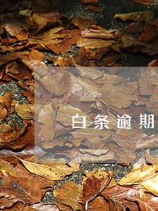 白条逾期没有逾期记录 白条逾期没有逾期记录