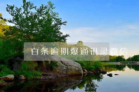 白条逾期爆通讯录微信 白条逾期爆通讯录微信