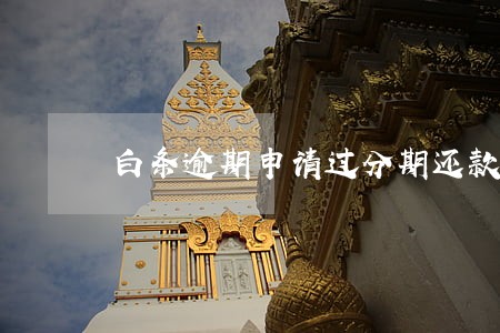 白条逾期申请过分期还款 白条逾期申请过分期还款