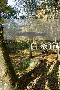 白条逾期能申请其他贷款 白条逾期能申请其他贷款