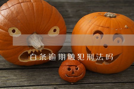 白条逾期触犯刑法吗 白条逾期触犯刑法吗
