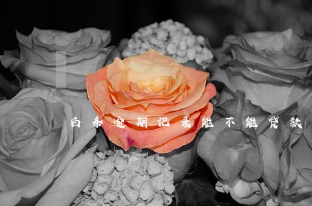 白条逾期记录能不能贷款买房 白条逾期记录能不能贷款买房