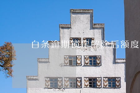 白条逾期锁定解除后额度是多少 白条逾期锁定解除后额度是多少