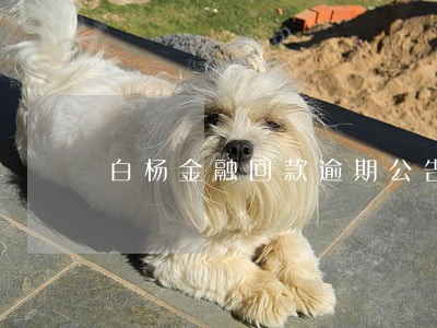 白杨金融回款逾期公告 白杨金融回款逾期公告