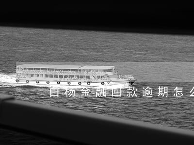 白杨金融回款逾期怎么回事 白杨金融回款逾期怎么回事