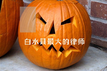 白水县最大的律师 白水县最大的律师