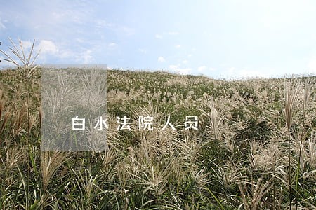白水法院人员 白水法院人员