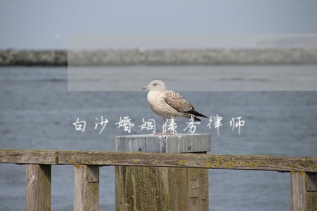白沙婚姻债务律师 白沙婚姻债务律师