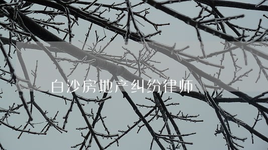 白沙房地产纠纷律师 白沙房地产纠纷律师