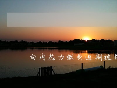 白沟热力缴费逾期被罚款了 白沟热力缴费逾期被罚款了