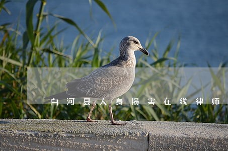 白河县人身损害在线律师 白河县人身损害在线律师