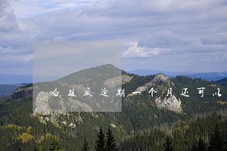 白破风逾期一个月还可以接种吗