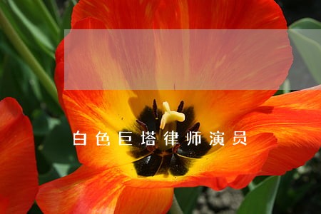 白色巨塔律师演员 白色巨塔律师演员