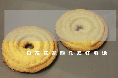 白花花逾期几天打电话 白花花逾期几天打电话