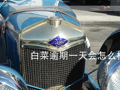 白菜逾期一天会怎么样 白菜逾期一天会怎么样