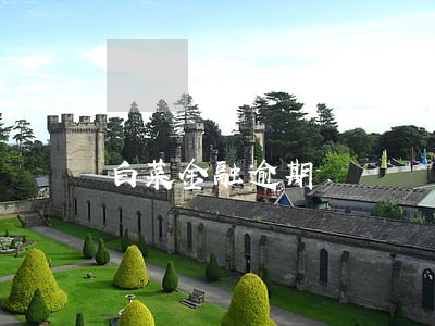 白菜金融逾期 白菜金融逾期