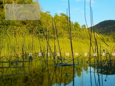 白酒包装物押金逾期增值税 白酒包装物押金逾期增值税