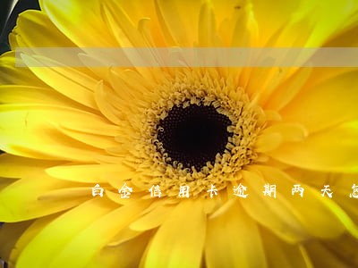 白金信用卡逾期两天怎么办