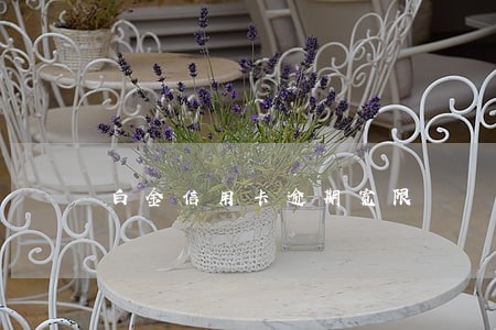 白金信用卡逾期宽限 白金信用卡逾期宽限
