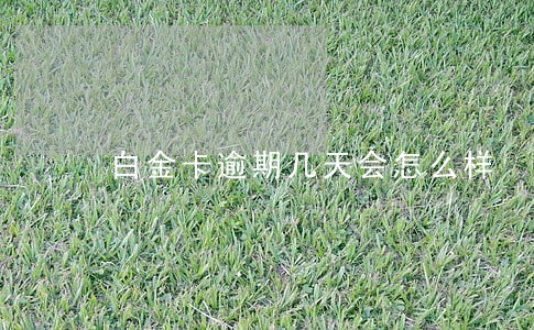 白金卡逾期几天会怎么样 白金卡逾期几天会怎么样