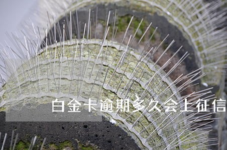 白金卡逾期多久会上征信 白金卡逾期多久会上征信