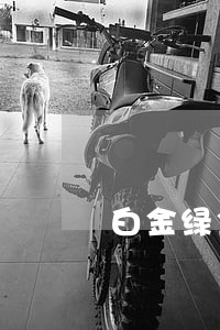 白金绿金逾期第一天会怎样 白金绿金逾期第一天会怎样