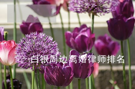 白银周边离婚律师排名 白银周边离婚律师排名