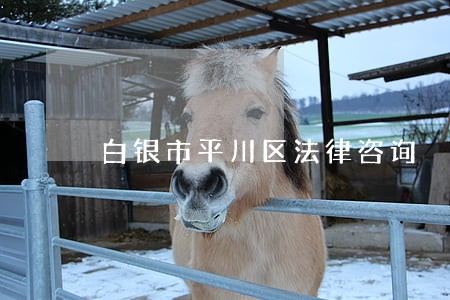 白银市平川区法律咨询 白银市平川区法律咨询