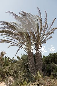 白银市法院立案庭庭长
